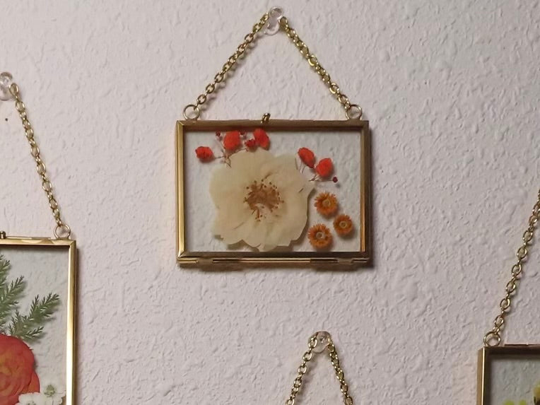 mini pressed flower frames