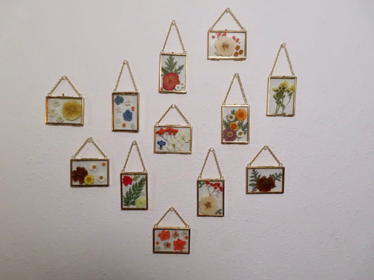 mini pressed flower frames