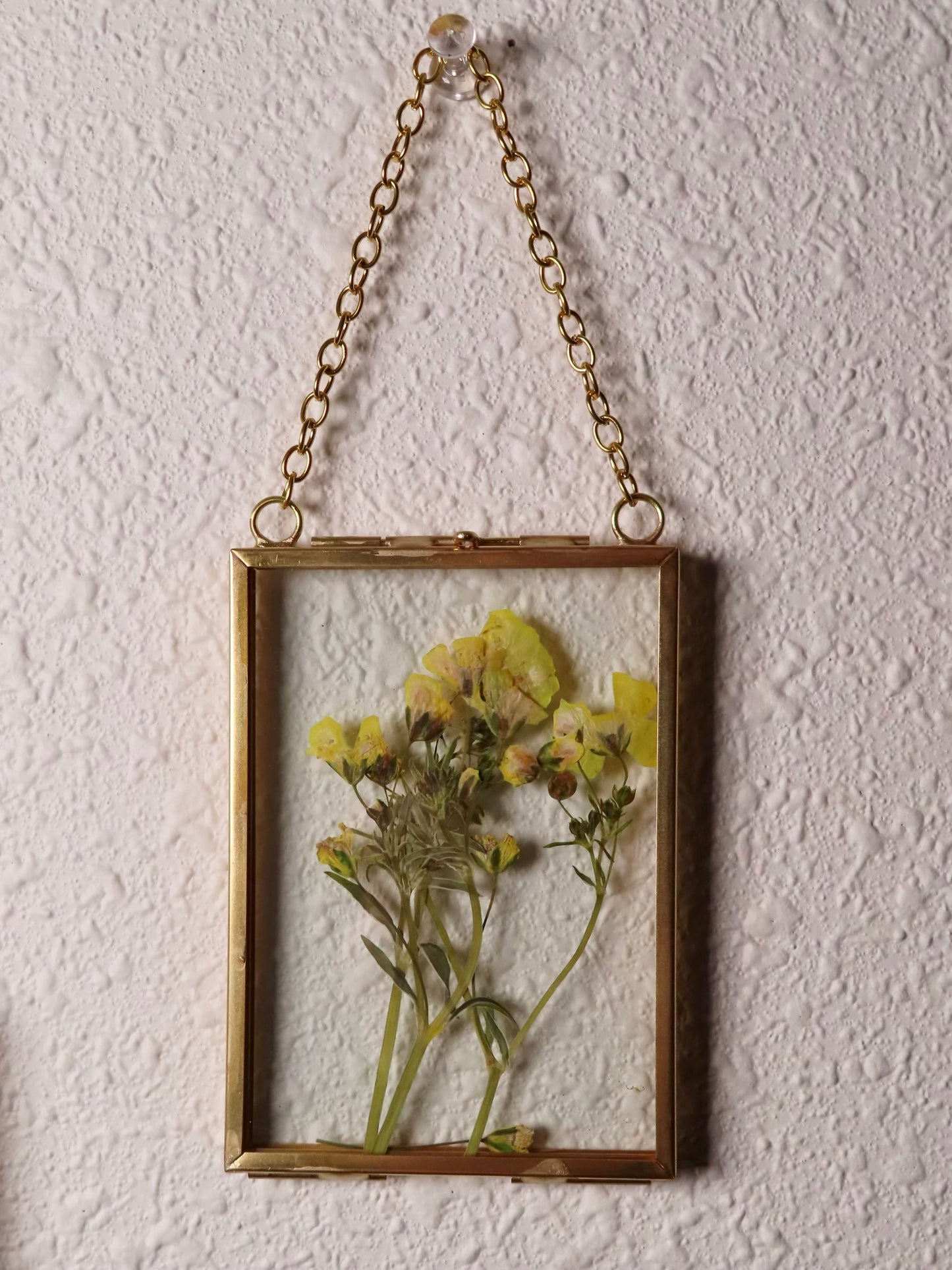 mini pressed flower frames