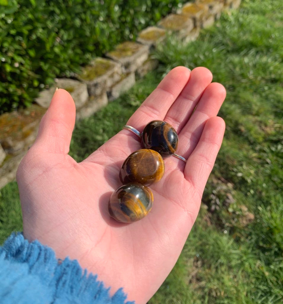 tigers eye